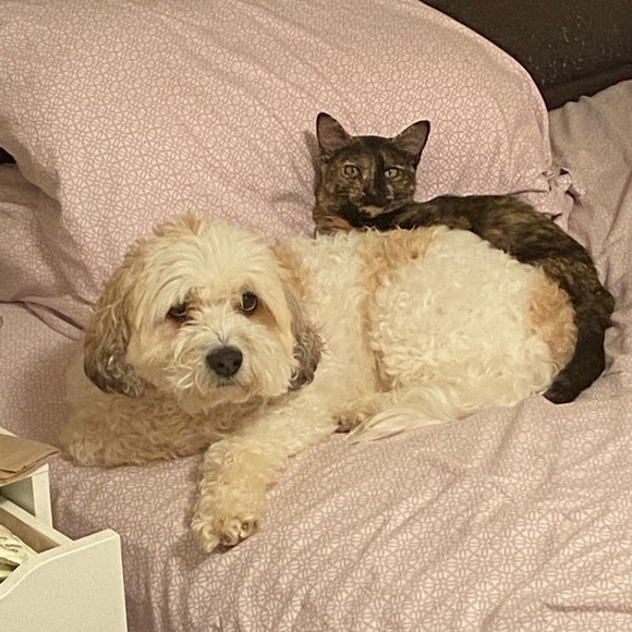 MEET MY PETS (: - Picture 3 of 16